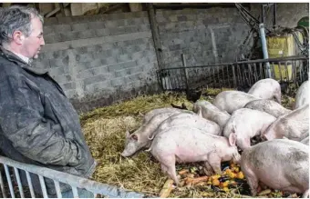  ??  ?? Jean-baptiste Galoo préconise un abattage à la ferme.