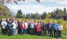  ?? FOTO: VDK ?? Einen herrlichen Tag in Lindau haben die VdK-Mitglieder genossen.