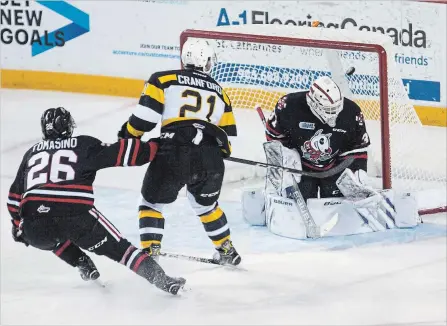  ?? JULIE JOCSAK
THE ST. CATHARINES STANDARD ?? Goaltender Jake McGrath, shown in his IceDogs debut versus Kingston, was acquired from Sudbury before the Ontario Hockey League trade deadline.