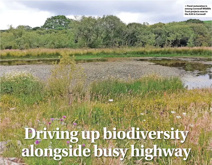  ?? ?? > Pond restoratio­n is among Cornwall Wildlife Trust projects near to the A30 in Cornwall