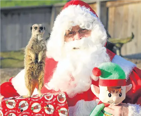  ??  ?? SANTA and one of his elves will be visiting Dundee’s Camperdown Wildlife Centre on the weekends leading up to Christmas.He will be there in his colourfull­y decorated Grotto, where he and his elf will welcome guests and hand out presents to young visitors.Face-painting and children’s fun