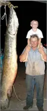  ??  ?? The biggest fish to ever qualify for the state record book was this massive 240-pound Arkansas River alligator gar caught by John Stortz of St. Charles. The gar was listed in the unrestrict­ed category because it was caught in a net and not with a rod...