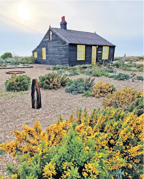  ?? ?? i Blooms with a view: director Derek Jarman created a garden on the shingle around his cottage