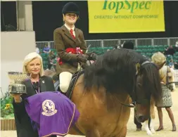  ??  ?? Junior native large breeds winner Catriona Of Meggernie (Alice Homer)