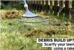  ?? ?? DEBRIS BUILD UP? Scarify your lawn using a rake