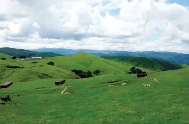  ?? Photo by Debby McColl. ?? Below left: Rolling green hills, dotted with sheep and ammunition magazines.