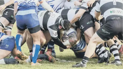  ?? ?? Ben Wilkinson has burrowed his way under the Bedford Athletic defence and is about score a try. Photo: Mick Sutterby.