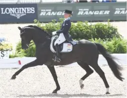  ??  ?? The gorgeous Danone stallion Dante Weltino earns nines for his huge trot extensions, piloted by Sweden’s Therese Nilshagen