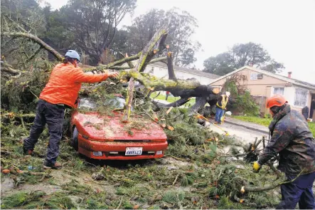  ?? Lea Suzuki / The Chronicle ?? Workers remove a tree that fell onto two cars and a housing project on Blythdale Avenue in a southern neighborho­od of San Francisco.