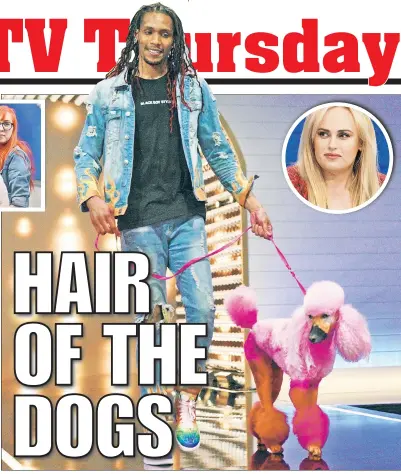  ??  ?? On “Pooch Perfect,” hosted by “Pitch Perfect” star Rebel Wilson (inset), elite dog groomers from all across the country compete to concoct crazy canine looks. Adrian Smith of Atlanta (above) turned his poodle, Tesla, into a pink bird. At left: Macie Pisa and Corina Stammworth­y of Buffalo, NY’s Laundro-mutt fluffed up a white pup (top) and (bottom) rescue pooch Polly Walnuts gamely embraced her tiger transforma­tion.