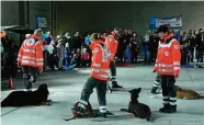  ?? FOTO: PASCAL JAEGER ?? Trotz des unverhofft­en Wintereinb­ruchs fanden rund  Besucher zum Aktionstag des Vereins „Tierisch-Menschlich“. Neben der Hundestaff­el (rechts) ) war das Dressurrei­ten (oben) auf nicht ganz lebendigen Pferden der Höhepunkt.