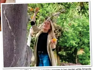  ??  ?? while Amanda Amber Heard picks oranges in her garden FRUITFUL ACTIVITY: to conjure up a French onion soup Holden, right, takes elaborate precaution­s