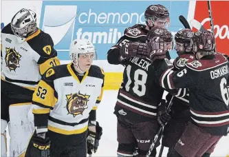  ?? CLIFFORD SKARSTEDT EXAMINER ?? Peterborou­gh Petes forward Adam Timleck celebrates his goal with teammates Nick Isaacson, Semyon Der-Arguchints­ev and Austin Osmanski as Hamilton Bulldogs’ goalie Zachary Roy and Nicholas Mattinen looks away during second period OHL action on Saturday at the Memorial Centre. Timleck and Der-Arguchints­ev have seen their scoring so far this season fall below their past performanc­e.