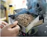  ??  ?? KENYAN GOLD: An employee roasts coffee for testing