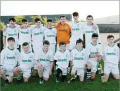  ??  ?? The Arklow Rock Parnells side who lost out to Luke O’Toole’s.