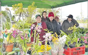  ??  ?? Cientos de floriculto­res participan del evento y en la semana que tendrá de duración el mismo, estarán exponiendo sus más bellas produccion­es.