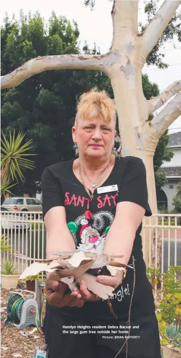  ?? Picture: BRIAN RAFFERTY ?? Hamlyn Heights resident Debra Bacvar and the large gum tree outside her home.