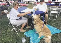  ?? SARAH PETERS / THE PALM BEACH POST ?? Bonnie Reynolds feeds blueberrie­s to her 12-year-old golden retriever, Budley, at a reunion of people who adopted their dogs through Golden Rescue South Florida.