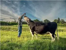  ?? ?? When the Cows Come Home is the story of the many careers of Andrew Johnstone.