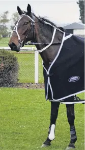  ?? PHOTO: JONNY TURNER ?? Back on song . . . Paul Kenny and Mary Kenny join driver Tim Williams in the birdcage after Dream About Me’s win in the group 3 Hannon Memorial at Oamaru yesterday.