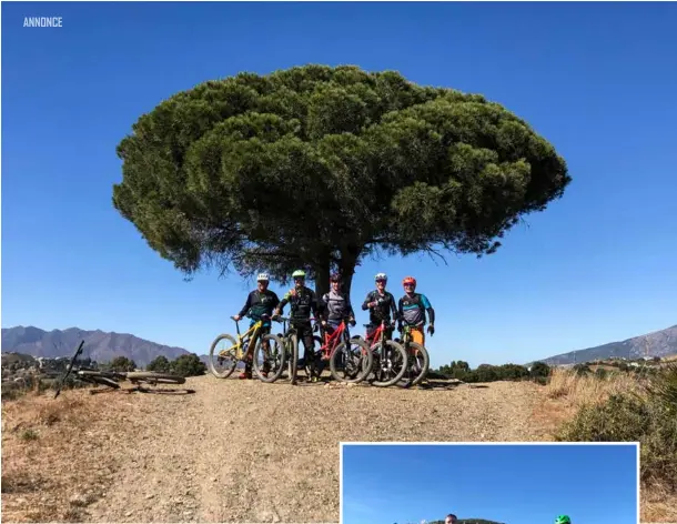  ??  ?? Sponz MTB klub ved Løvernesko­nge-træet i Malaga.