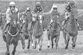  ?? BENJAMIN CHAMBERS/DELAWARE NEWS JOURNAL ?? The best riders and horses on the National Steeplecha­se Associatio­n race circuit participat­e in high stakes racing at the 45th annual Point-to-Point in Winterthur in Wilmington on May 7, 2023.