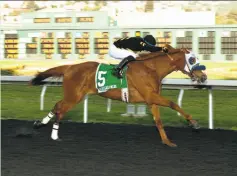  ?? Shane Micheli / Vassar Photograph­y ?? Choo Choo, with jockey Juan Hernandez, wins the 103rd running of the California Derby at Golden Gate Fields in a time of 1:44.50.