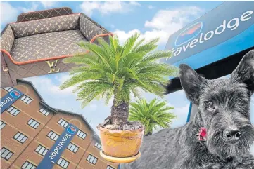  ?? ?? FORGET SOMETHING?: A luxury pet bed, palm trees and a dog called Sean are on list.