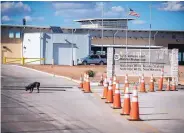  ?? ROBERTO E. ROSALES/JOURNAL ?? A dog sniffs around the Antelope Wells Port of Entry in southern New Mexico.