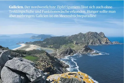  ?? [ Katrin Nussmayr] ?? Gefährlich­e Delikatess­e – für die Fischer, nicht die Esser: Entenmusch­eln. In Gärten wie dem von Pazo de Oca (l.) oder auf den C´ıes-Inseln (r.) lassen sich dann schöne Verdauungs­spaziergän­ge machen.