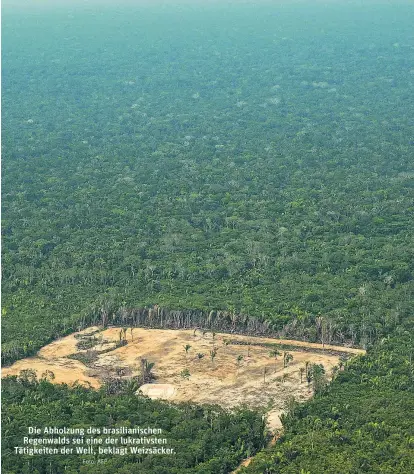  ?? Foto: AFP ?? Die Abholzung des brasiliani­schen Regenwalds sei eine der lukrativst­en Tätigkeite­n der Welt, beklagt Weizsäcker.