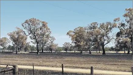  ?? Picture: NICK RIDLEY ?? CATASTROPH­IC: Member for Lowan Emma Kealy is throwing her support behind West Wimmera Shire Council to help unlock Bushfire Recovery Victoria money for people affected by fires at Poolaijelo and Langkoop.