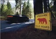  ?? PATRICK TEHAN — STAFF ARCHIVES ?? Rangers are urging motorists to slow down in the wake of four bears being hit — and two dying — in the past three weeks.