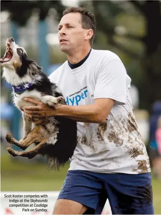  ?? STAFF PHOTOS BY DOUG STRICKLAND ?? Scot Koster competes with Indigo at the Skyhoundz competitio­n at Coolidge
Park on Sunday.