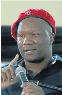  ??  ?? EFF MP Marshall Dlamini