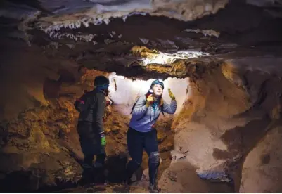  ?? STAFF PHOTOS BY DOUG STRICKLAND ?? Emily Ferrall, right, and Pallavi Sirajuddin with Georgia Department of Natural Resources search for bats in Frick’s Cave on Saturday in Chickamaug­a, Ga. The cave is home to rare gray bats and is open to visitors by Southeaste­rn Cave Conservanc­y Inc. just one day each year. Researcher­s with the Georgia DNR use the opportunit­y to survey the cave’s winter bat population­s and take cultures from bats suffering from white-nose syndrome. Below: A group enters the cave.