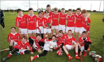  ??  ?? The glenealy under-13 county champions after their victory over Luke O’Toole’s.