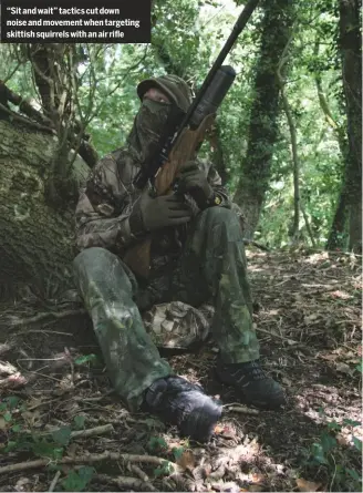  ??  ?? “Sit and wait” tactics cut down noise and movement when targeting skittish squirrels with an air rifle