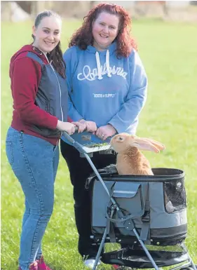  ?? Picture: PA. ?? Atlas, a continenta­l giant rabbit with its new owners Laurrie Hislop, 15, and her mother Jennifer Hislop, from North Ayrshire, who were recently selected out of hundreds of applicants.