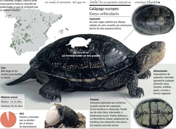  ??  ?? FUENTE: Atlas y Libro Rojo de los Anfibios y Reptiles de España
LA VANGUARDIA