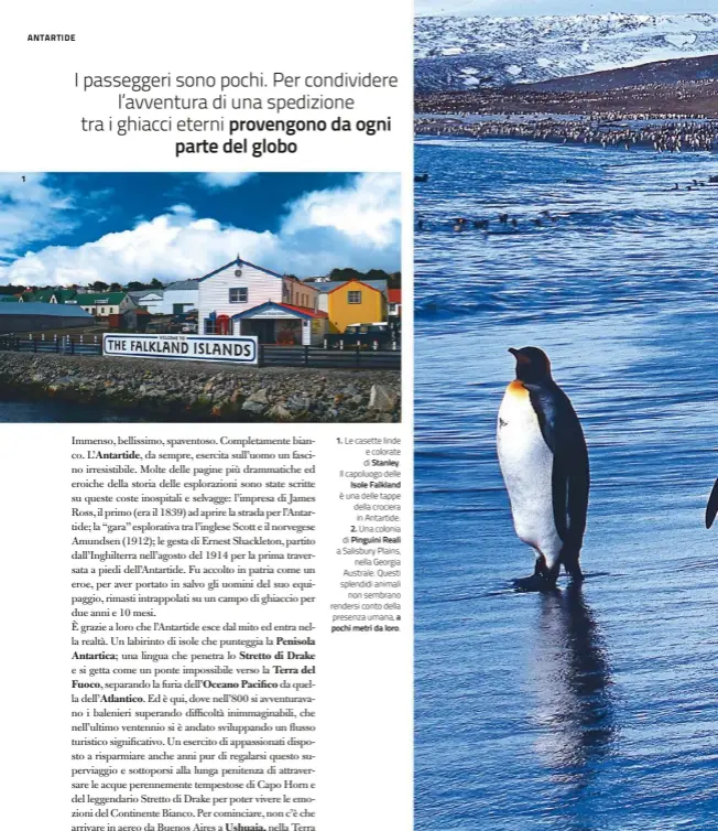  ??  ?? 1. Le casette linde e colorate di Stanley. Il capoluogo delle
Isole Falkland è una delle tappe della crociera in Antartide. 2. Una colonia di Pinguini Reali a Salisbury Plains,
nella Georgia Australe. Questi splendidi animali
non sembrano rendersi...