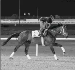  ?? ANDREW WATKINS ?? Forever Unbridled, owned by Charles Fipke and trained by Dallas Stewart, ends her career in the Dubai World Cup.