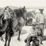  ??  ?? Tom East, Jr., son of Alice
Kleberg East, returning from a lion hunt in about 1945 with a friend, famous MexicanAme­rican tracker Moto Alegría. The dead cougar is strapped across East’s horse as the young man congratula­tes one of his good hounds. Guns for hunting are an establishe­d fact of Southern culture and the East Foundation website posts many images of successful hunts by both men and women.
The horses, which by this date are clearly of Quarter Horse type, wear saddles with thick-necked manzana horns and mild bits, and they pack braided leather reatas.