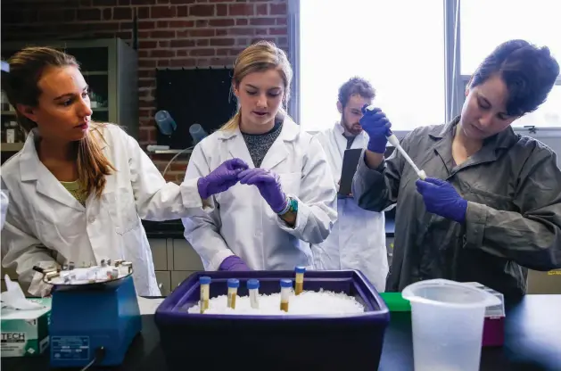  ?? Associated Press ?? In this Dec. 6, 2017, photo, Rice University Ph.D. student Lauren Howe-Kerr, left, junior Anna Knochel, center, and sophomore Jordan Sims test coral samples taken from the Gulf of Mexico to study the health of the reef systems after the influx of fresh...