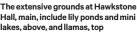  ?? ?? The extensive grounds at Hawkstone Hall, main, include lily ponds and mini lakes, above, and llamas, top