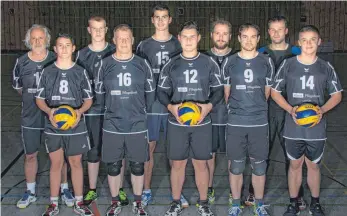  ?? LEMKE FOTO: ANDREAS ?? Die Herren 2 des VC Baustetten. (l.n.r): Ekkehard Bischof, Mike Bava, Sebastian Rodi, Roland Rodi, Tom Göppe, Julian Sontheimer, Andreas Motz, Thomas Leichtle, Georg Heß, Lukas Mohl (es fehlt): Rolf Schäfer