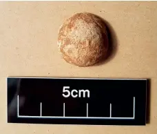  ??  ?? Impacted musket ball from close to the Northern Breastwork