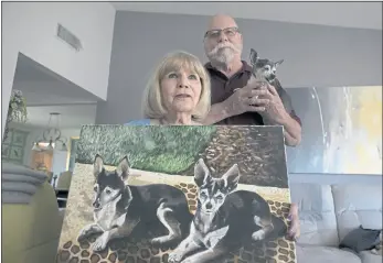  ?? KARL MONDON — STAFF PHOTOGRAPH­ER ?? Darlene and Nelson Frick hold their remaining dog Bonnie on July 8 after her brother Clyde was killed by a coyote last year at the Villages Golf and Country Club in San Jose.