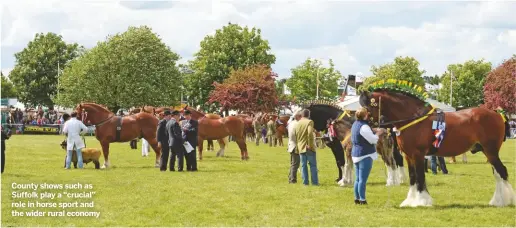  ??  ?? County shows such as Suffolk play a “crucial” role in horse sport and the wider rural economy