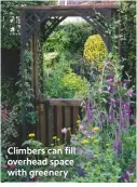  ??  ?? Climbers can fill overhead space with greenery